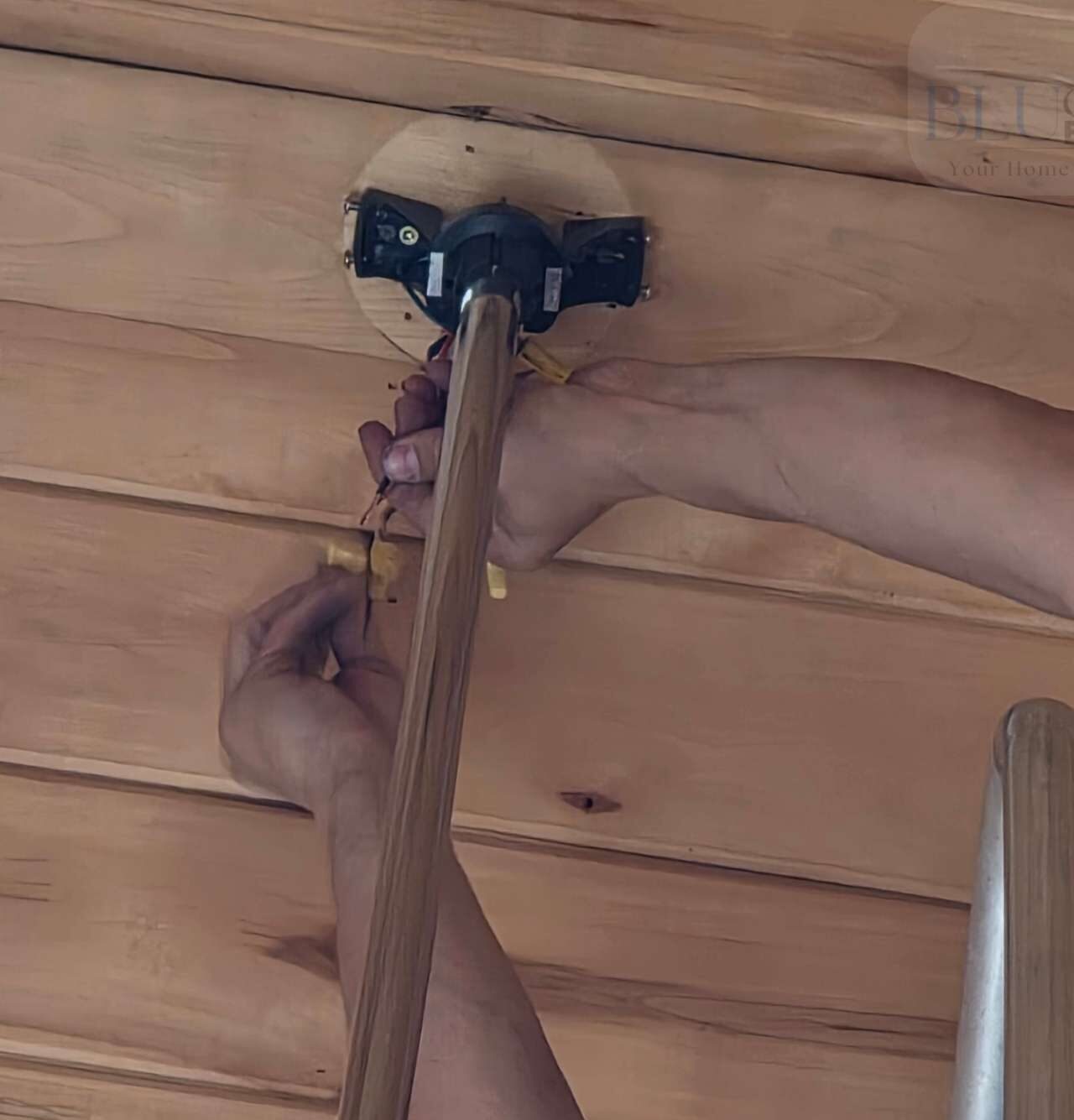 Blu Candor Electrical